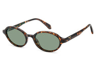 Polaroid Square Sunglasses