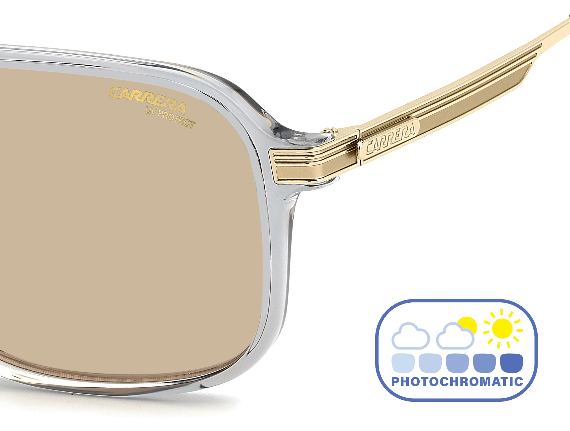 Carrera Square Sunglasses