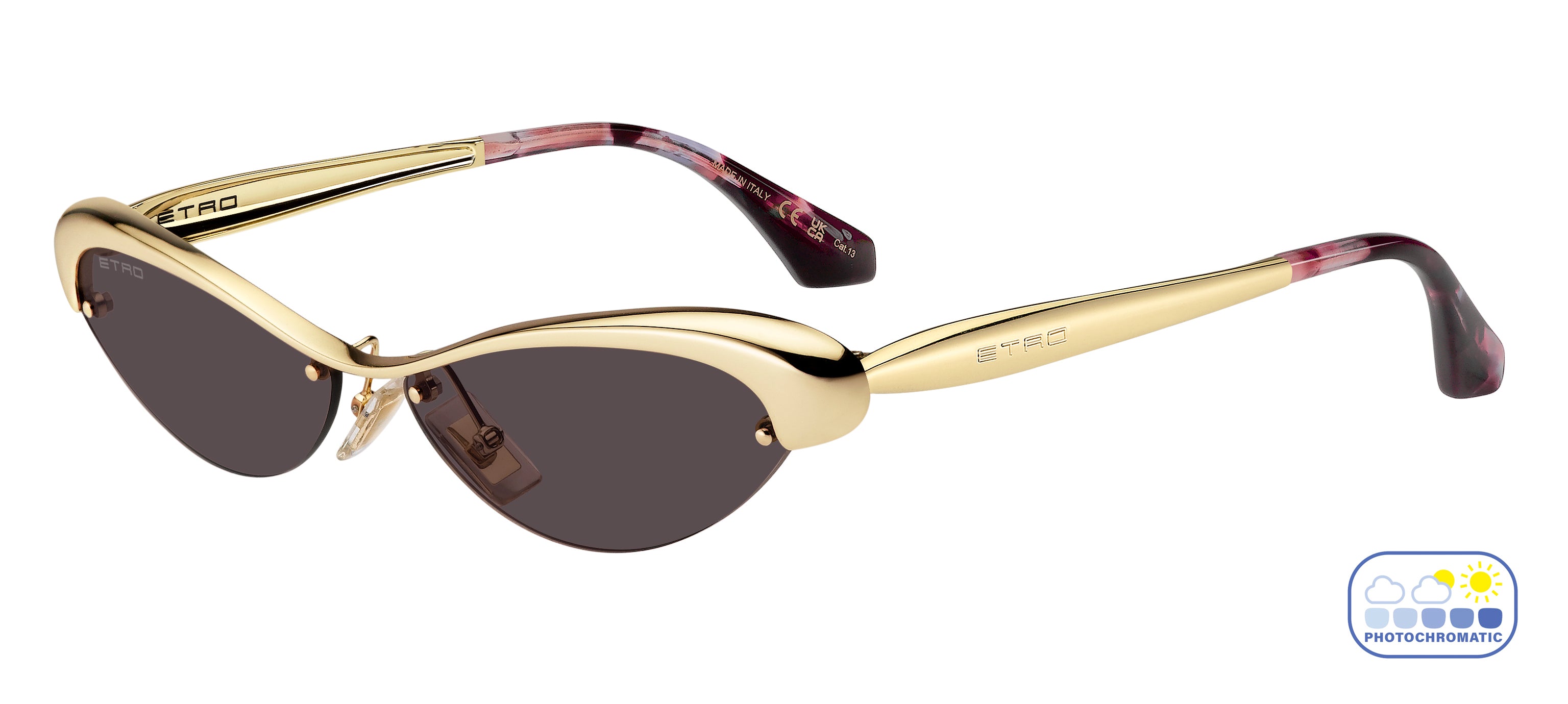 Etro Cat-Eye Sunglasses