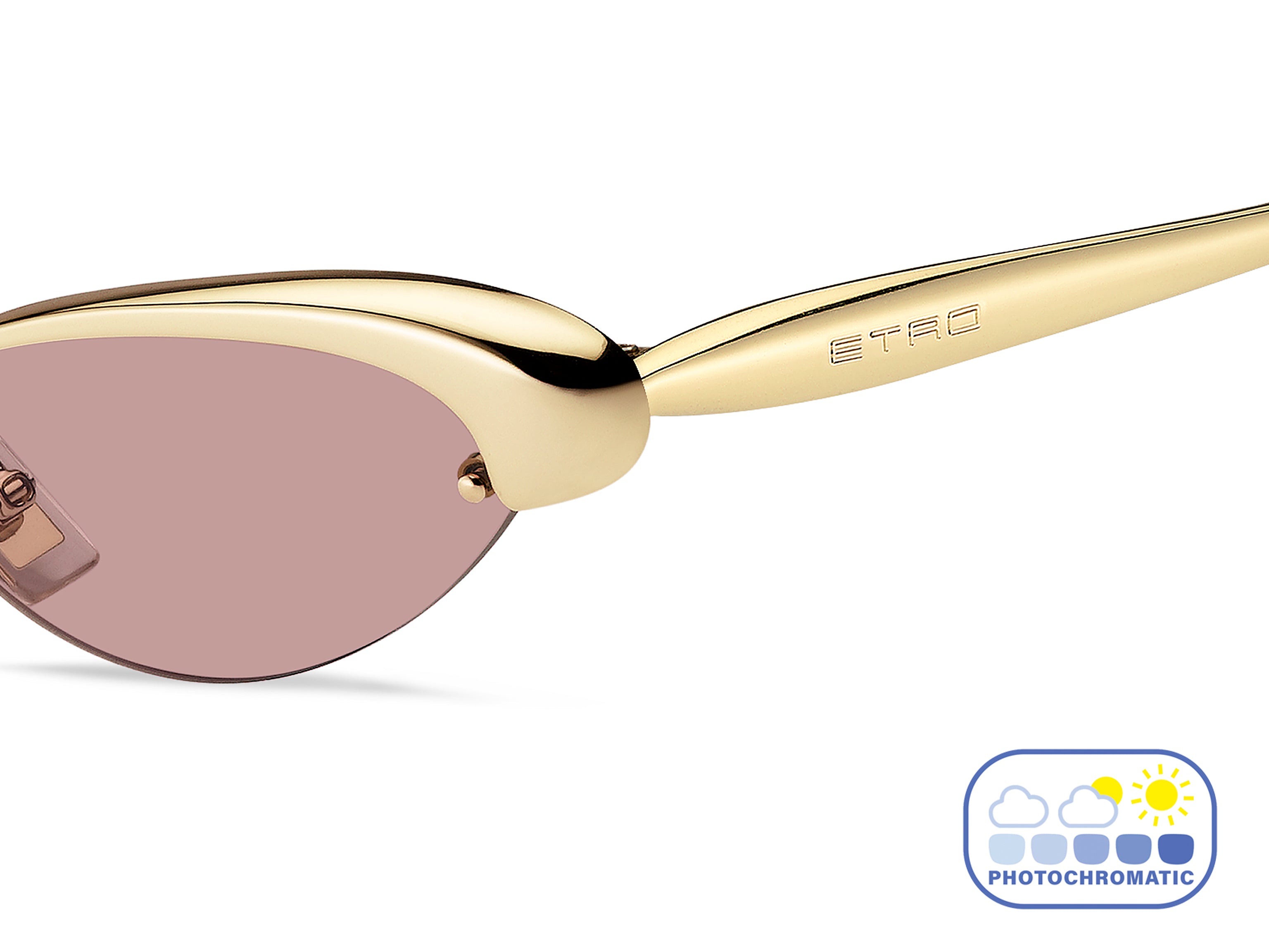 Etro Cat-Eye Sunglasses