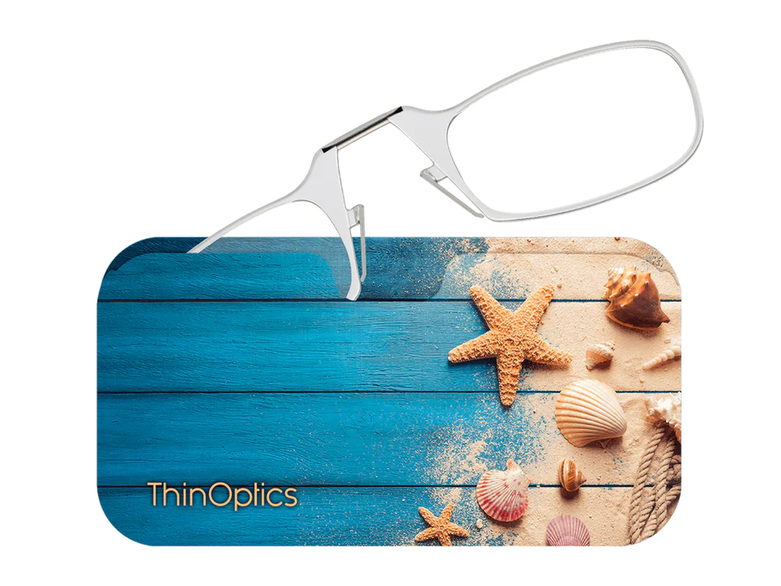 Clear Sea shells