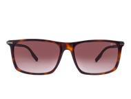 Anchor Sunglasses