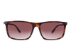 Anchor Aviator Sunglasses