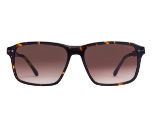 Franco Square Sunglasses - 3223 Brown