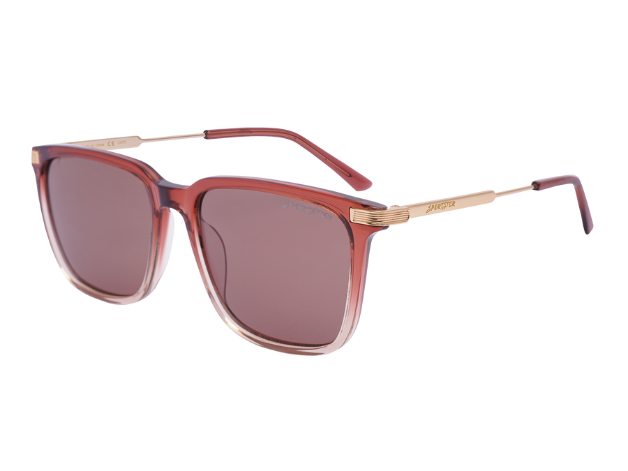 Sportster Square Sunglasses - PR89S Brown