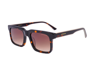 Sportster Square Sunglasses - CT0245
