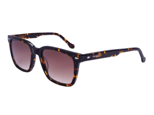 Franco Square Sunglasses - 3229 Brown