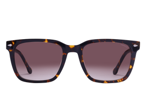 Franco Square Sunglasses - 3229 Brown