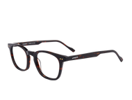 Sportster Round Frames