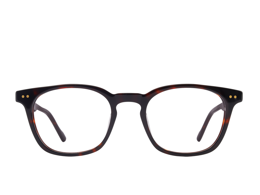 Sportster Square Frames - HA55 Havana