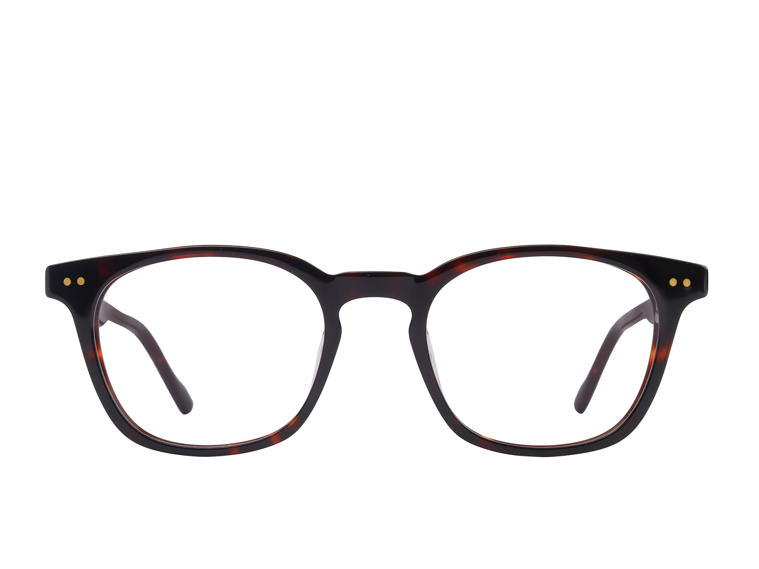 Sportster Round Frames