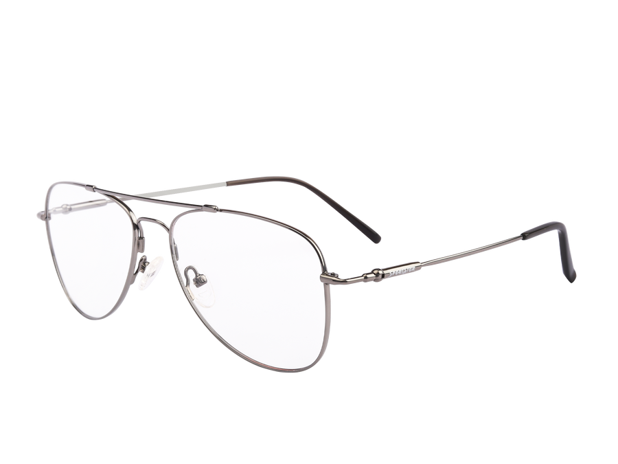 Sportster Aviator Frames - 231269 Silver