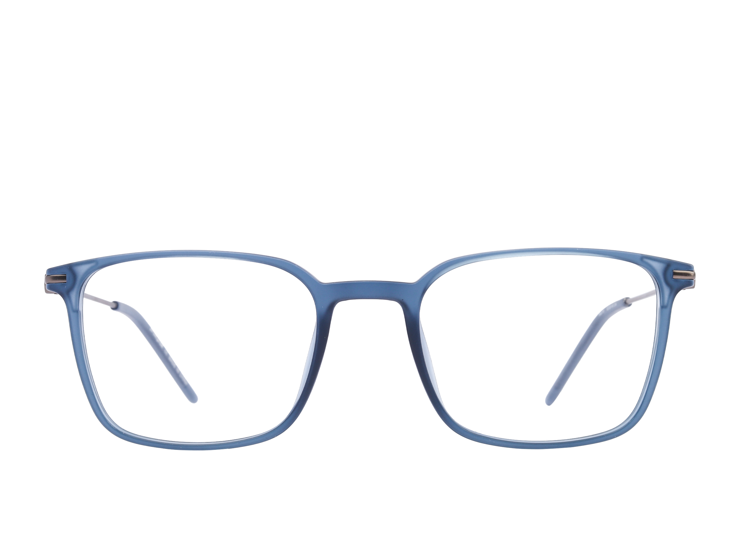 Sportster Aviator Frames