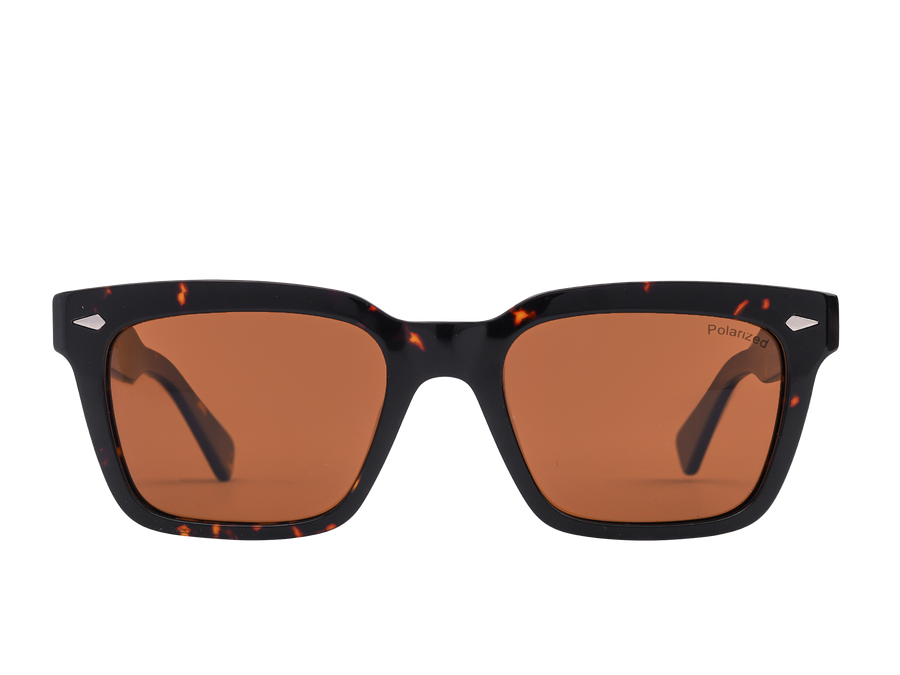 Franco Square Sunglasses - S900 Havana