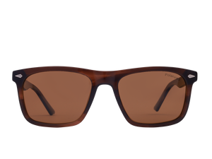 Franco Square Sunglasses - S905 Brown