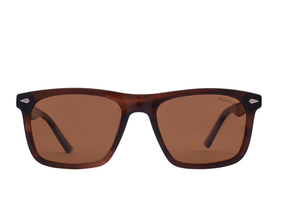 Franco Square Sunglasses - S905 Brown