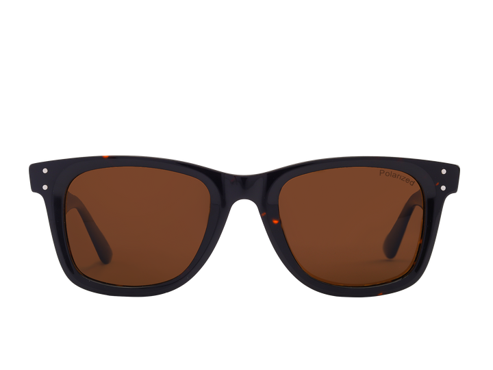 Franco Square Sunglasses - S0502 Brown