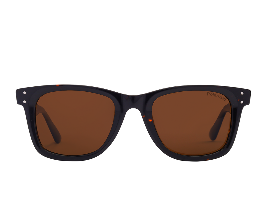 Franco Square Sunglasses - S0502 Brown