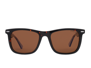 Franco Square Sunglasses - S8930 Havana