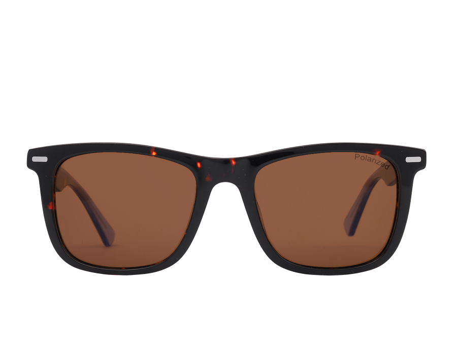 Franco Square Sunglasses - S8930 Havana