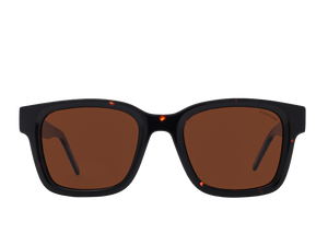 Franco Square Sunglasses - S0832 Havana