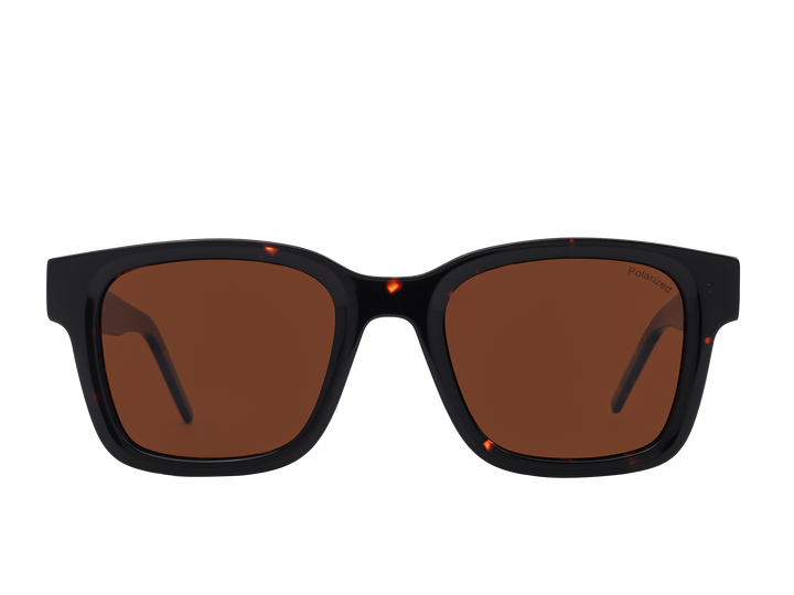 Franco Square Sunglasses - S0832 Havana