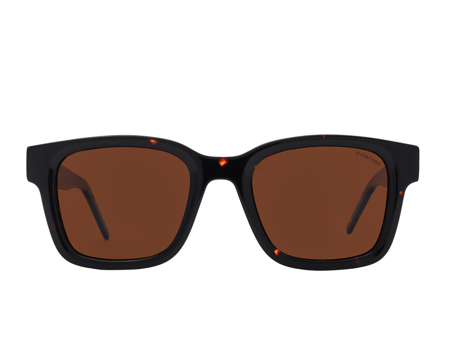 Franco Square Sunglasses - S0832 Havana