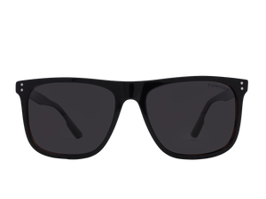 Franco Square Sunglasses - S810 Havana