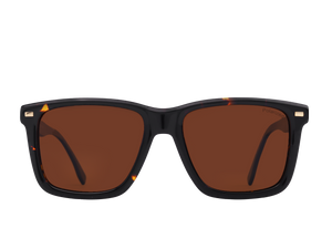 Franco Square Sunglasses - S1317 Havana