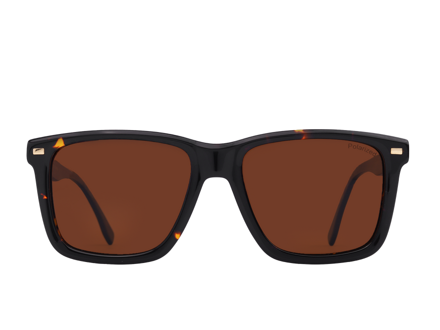 Franco Square Sunglasses - S1317 Havana