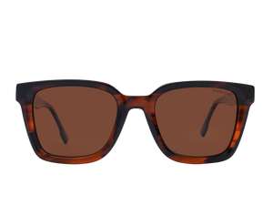 Franco Square Sunglasses - S2876 Havana