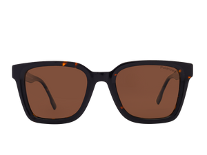 Franco Square Sunglasses - S2876 Brown