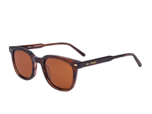 Franco Square Sunglasses - S5505 Brown