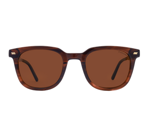 Franco Square Sunglasses - S5505 Brown