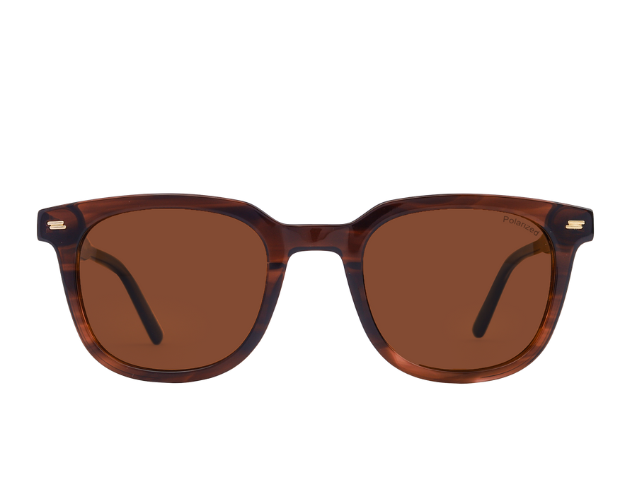 Franco Square Sunglasses - S5505 Brown