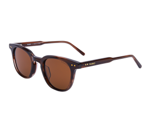 Franco Square Sunglasses - S5503 Brown