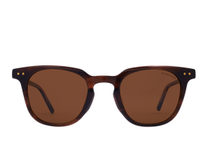 Franco Square Sunglasses - S5503 Brown