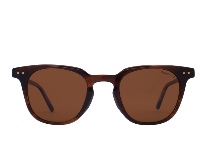 Franco Square Sunglasses - S5503 Brown