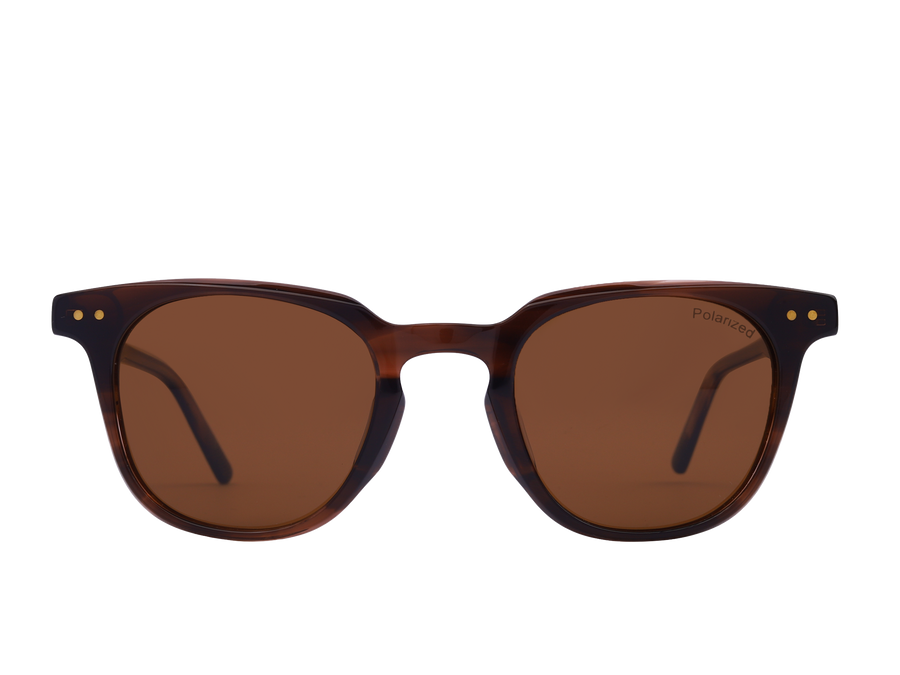 Franco Square Sunglasses - S5503 Brown