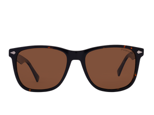 Franco Square Sunglasses - S903 Havana