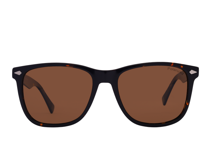 Franco Square Sunglasses - S903 Havana