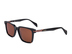 Franco Square Sunglasses - S16WV Brown