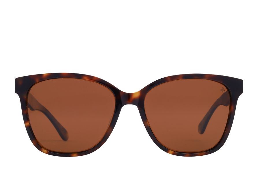 Rosa Valentine Square Sunglasses - GS 5031 Havana