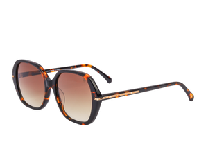 Rosa Valentine Square Sunglasses - CH3877 Havana