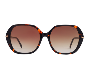 Rosa Valentine Square Sunglasses - CH3877 Havana