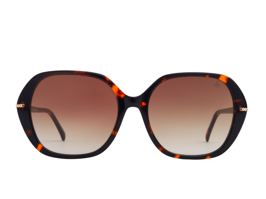 Rosa Valentine Square Sunglasses - CH3877 Havana