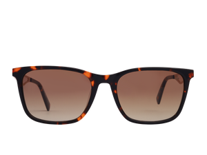 Rosa Valentine Square Sunglasses - EA3212 Havana