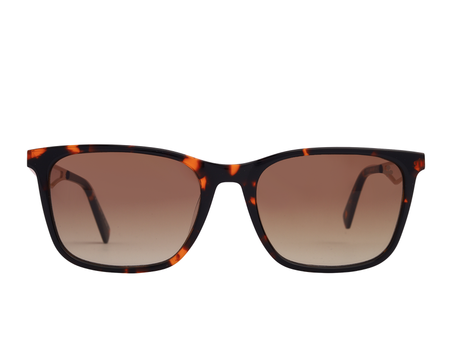 Rosa Valentine Square Sunglasses - EA3212 Havana