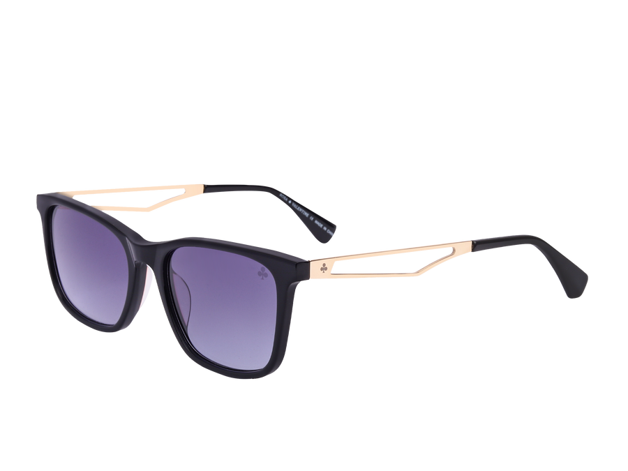 Rosa Valentine Square Sunglasses - EA3212 Black