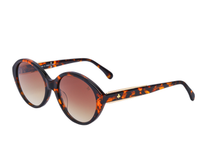 Rosa Valentine Square Sunglasses - CH3459 Havana